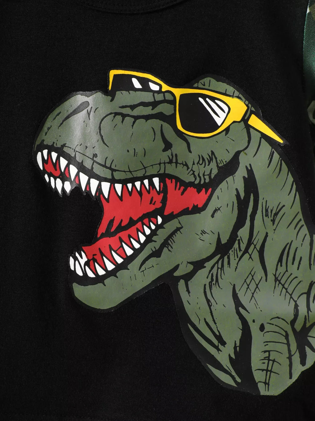 Children's Dinosaur Round Neck Tee and Camo Shorts Set