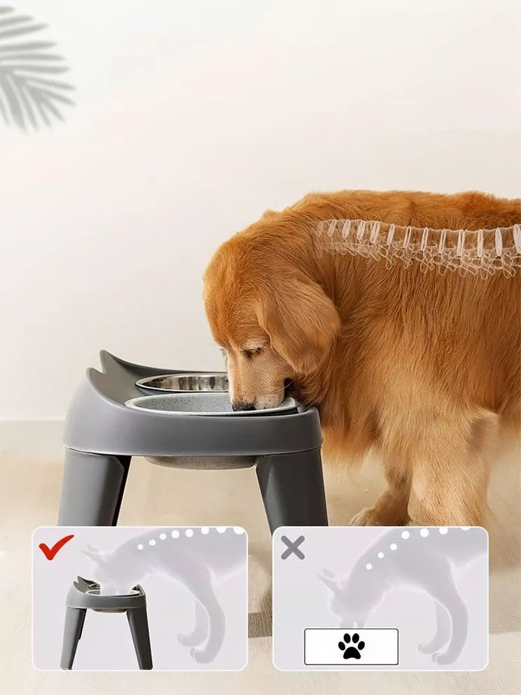 Double Pet Bowls with Stand