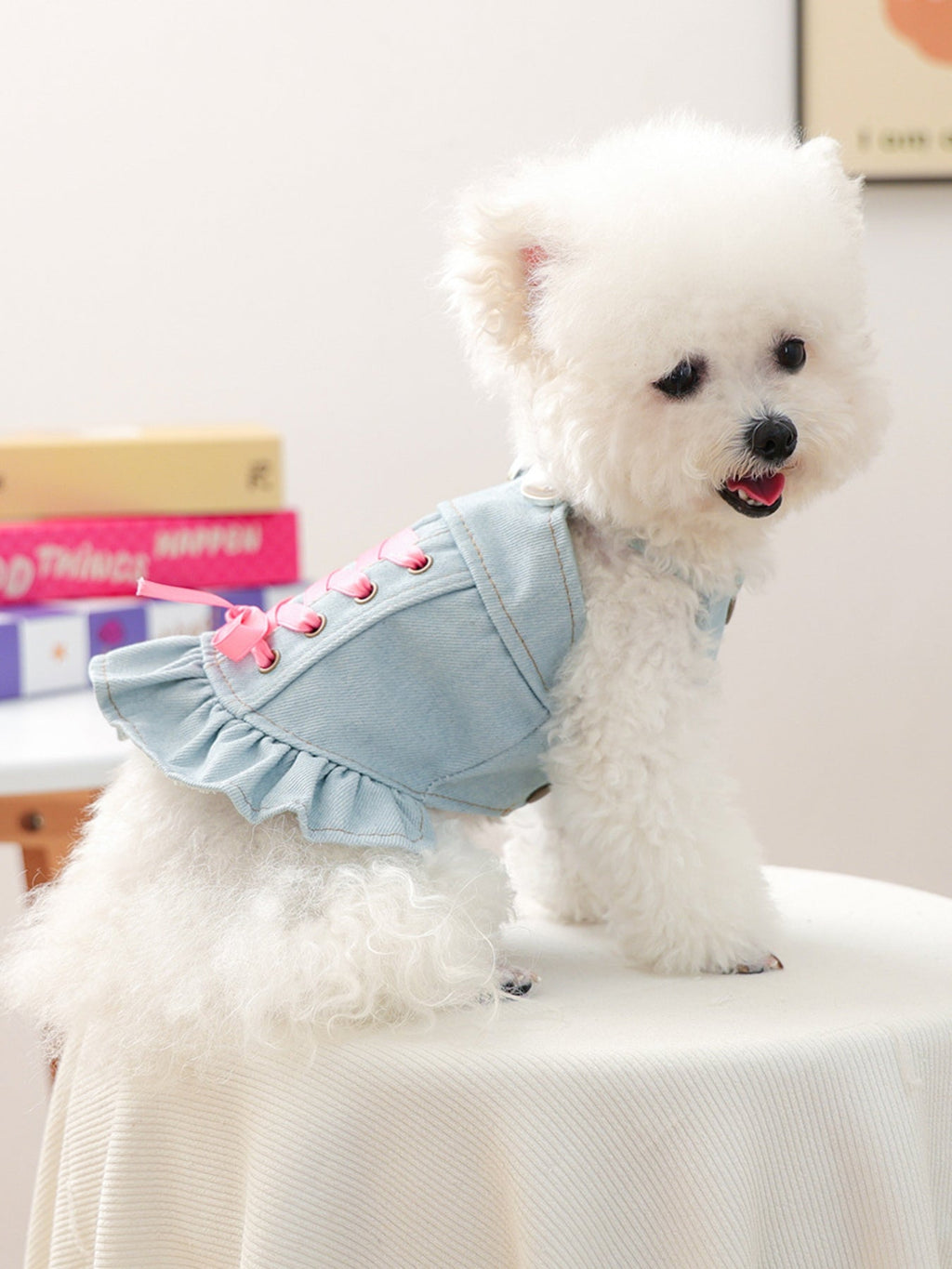 Denim Lace-Up Ruffle Pet Dress