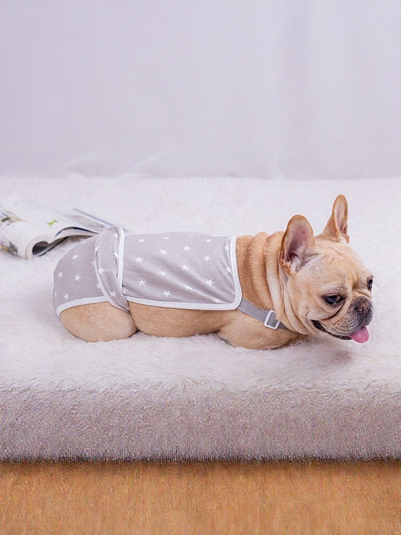 Anti-Harassment Pet Functional Clothing