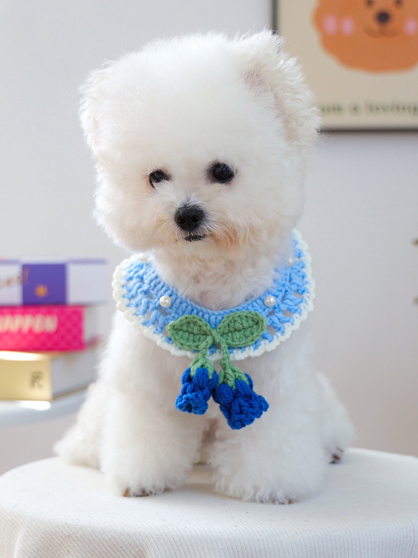 Contrast Pet Scarf