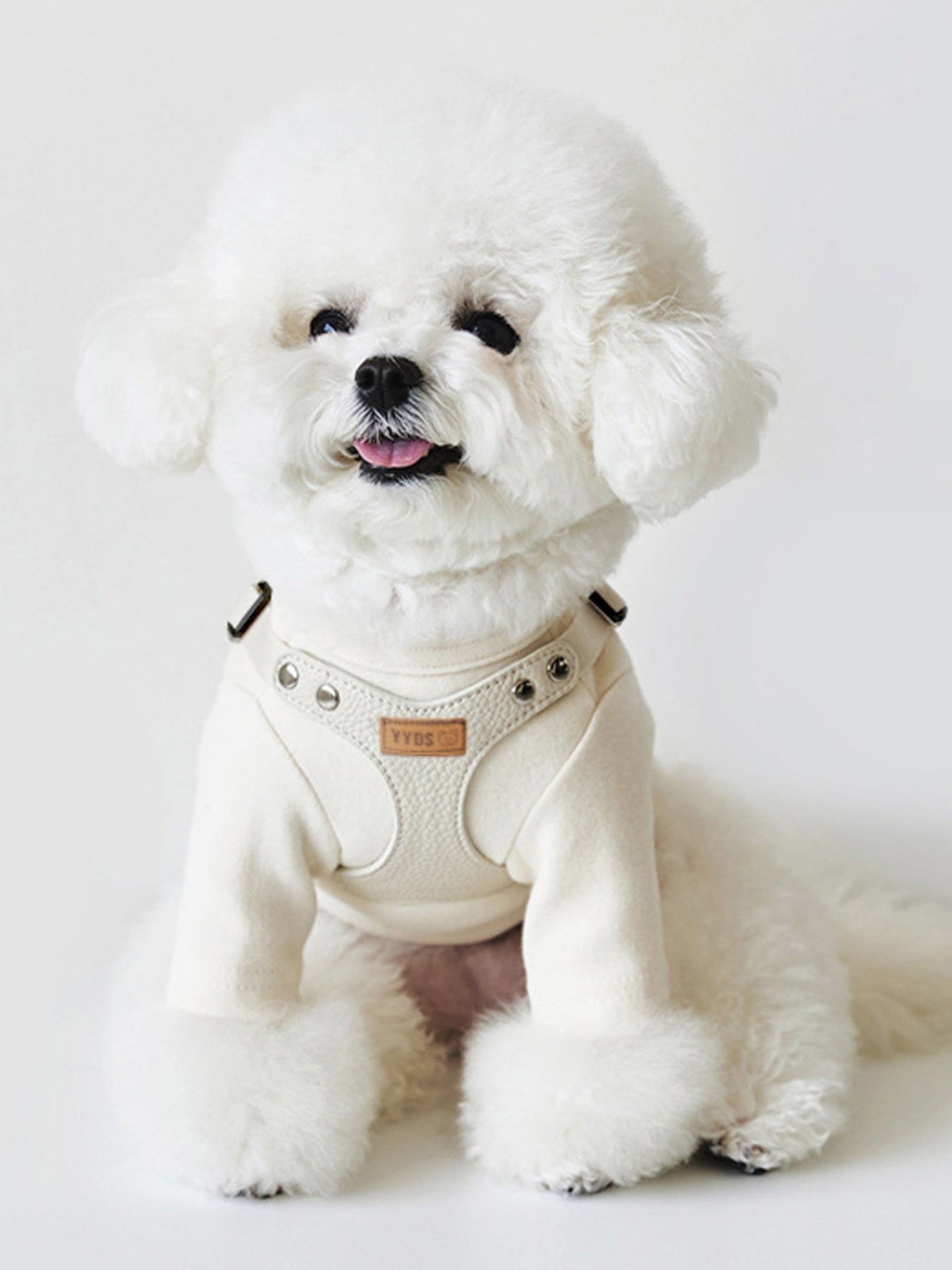 Rivet-Decorated Dog Harness Leash Set