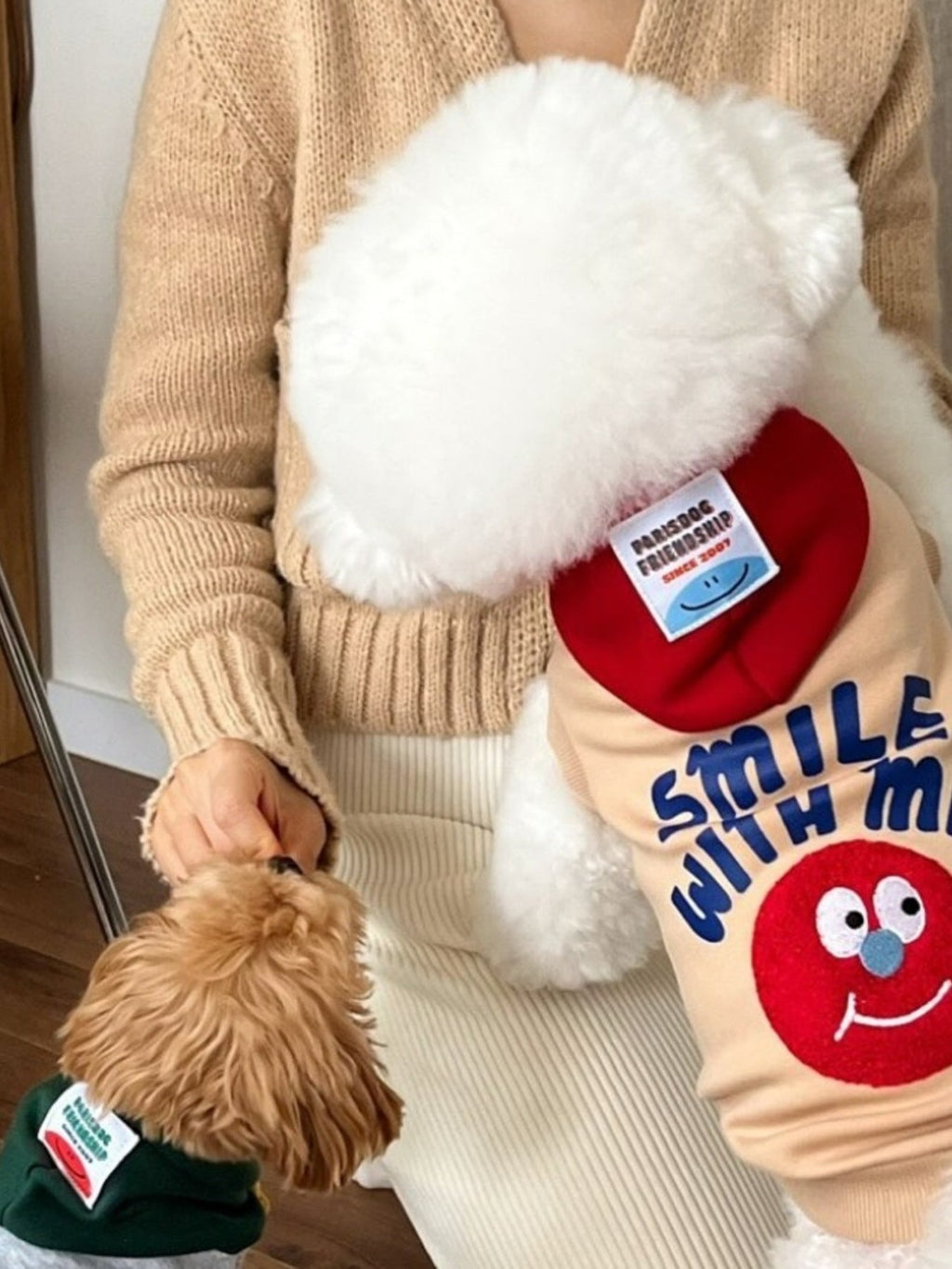Cute Cartoon Pet Top
