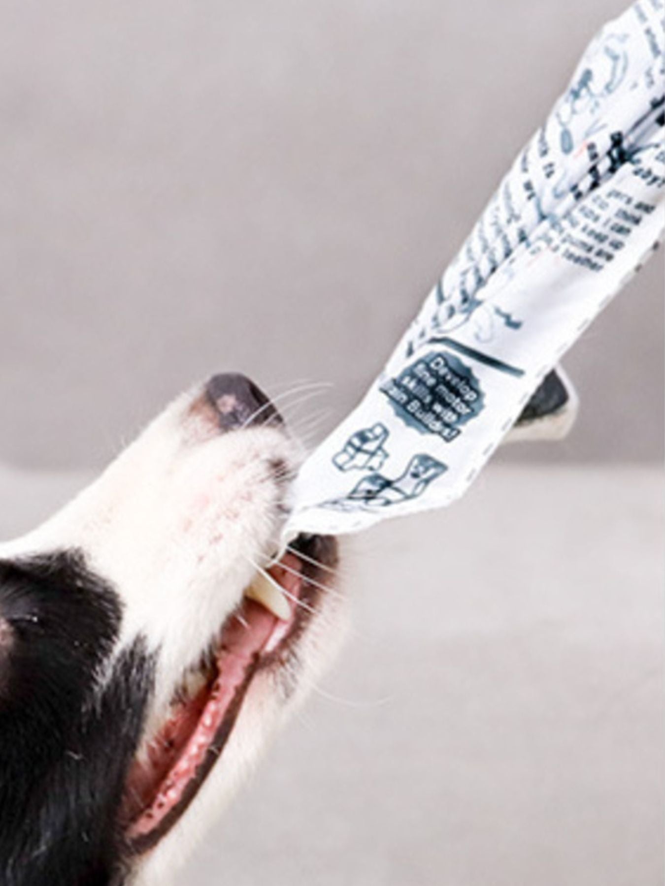 Newspaper Style Pet Sound Toy