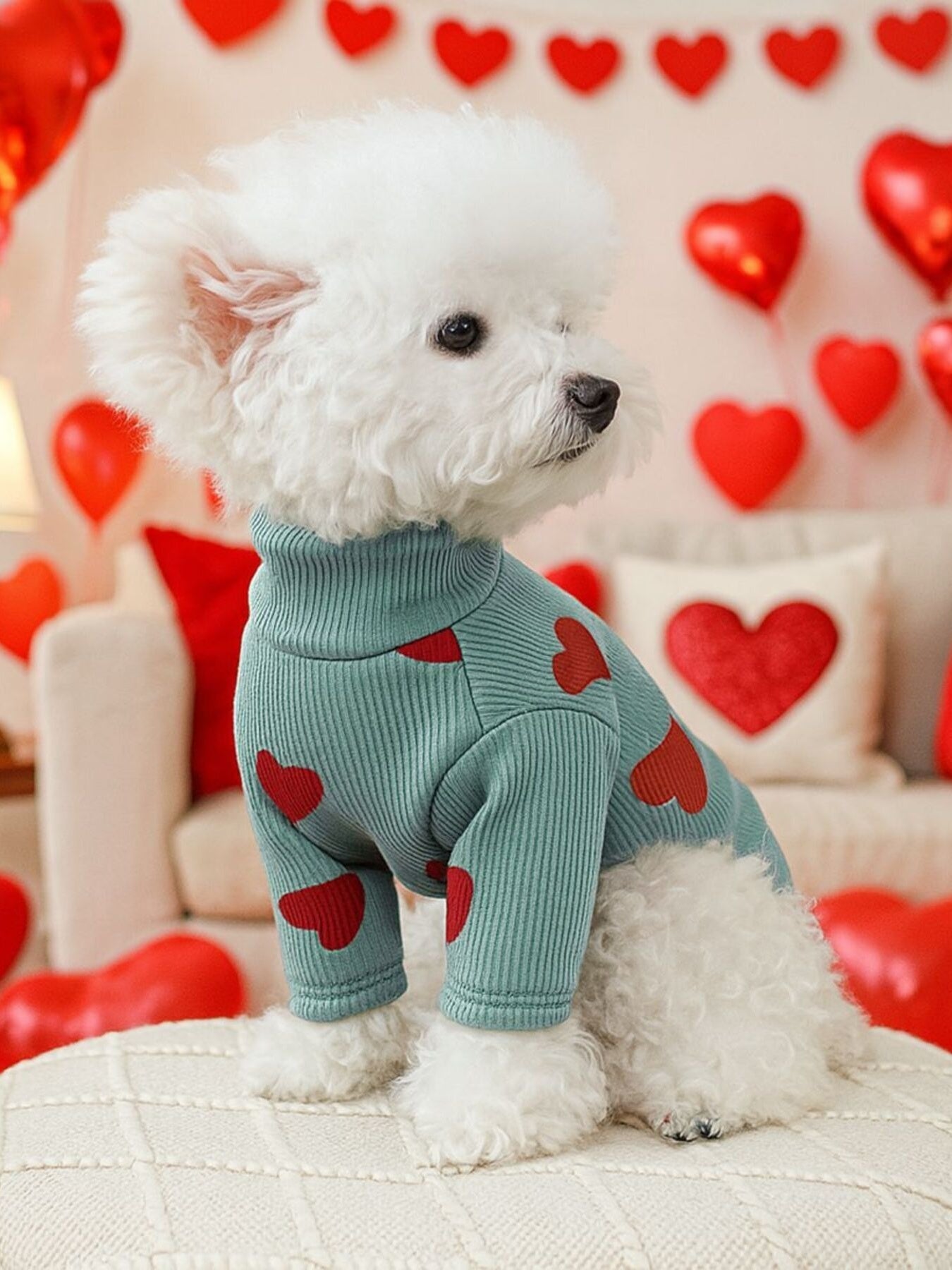Heart Pattern Pet Sweater