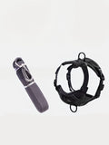 Pet Harness and Leash Set