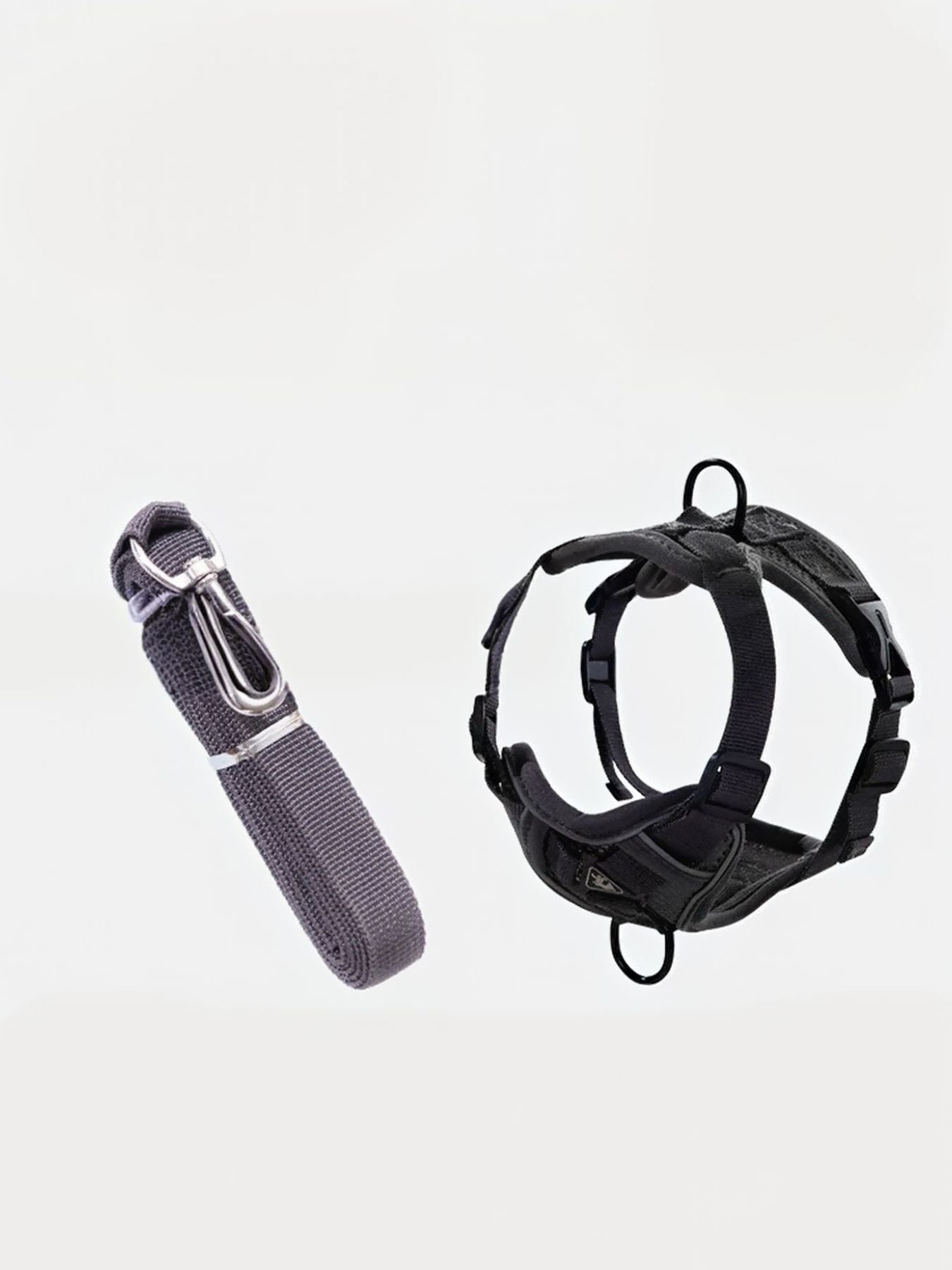 Pet Harness and Leash Set