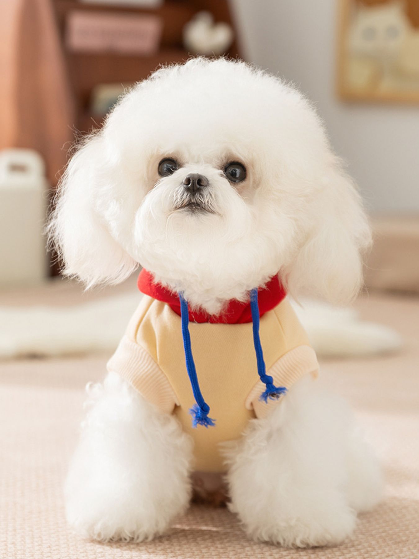 Cute Cartoon Pet Top