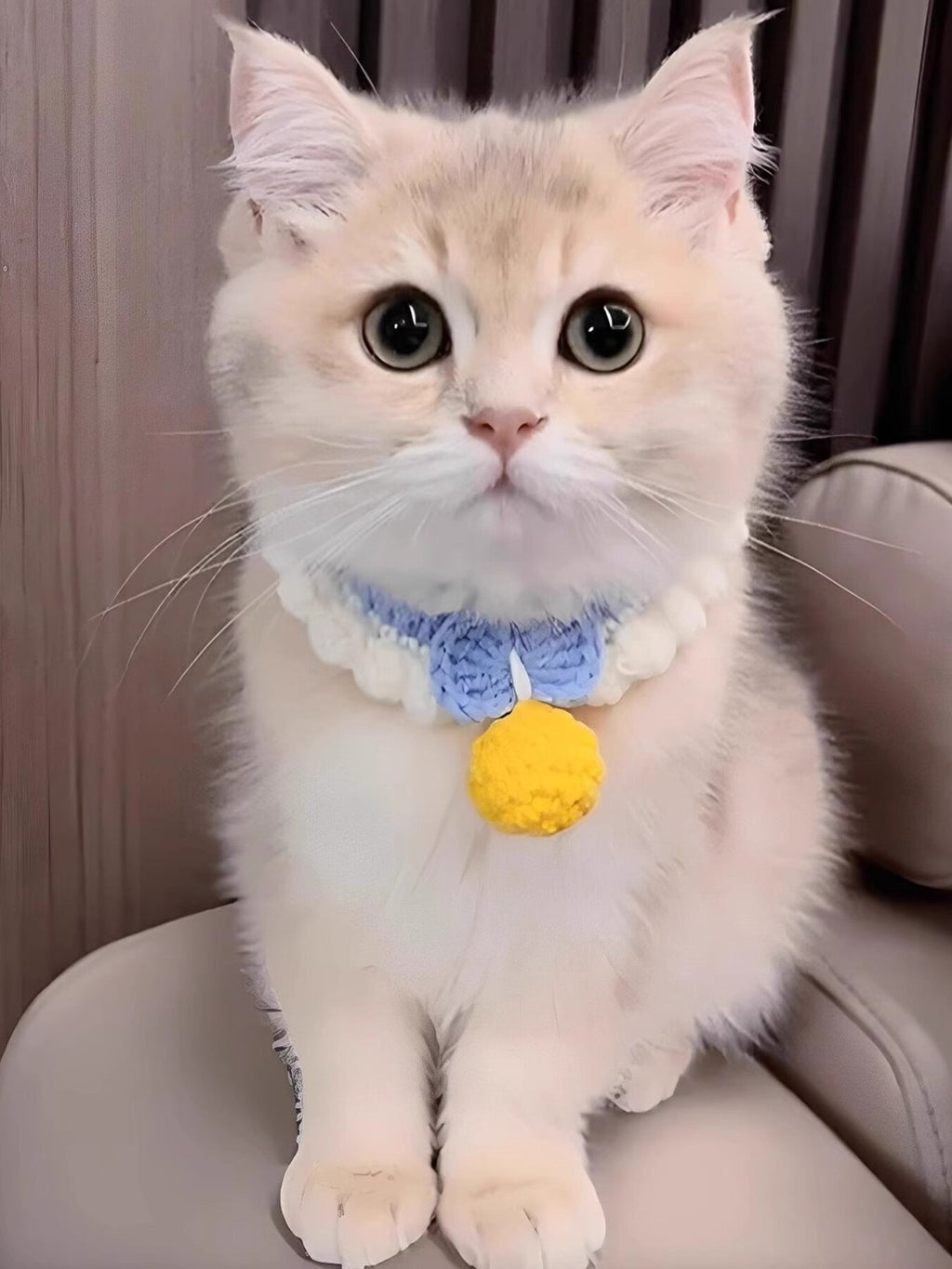 Crochet Pet Collars with Bell