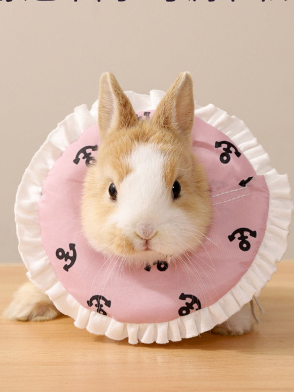 Adjustable Pet Collars