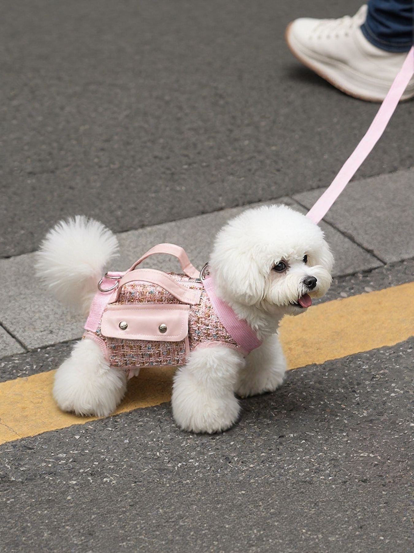 Tweed Pet Harness with Strap