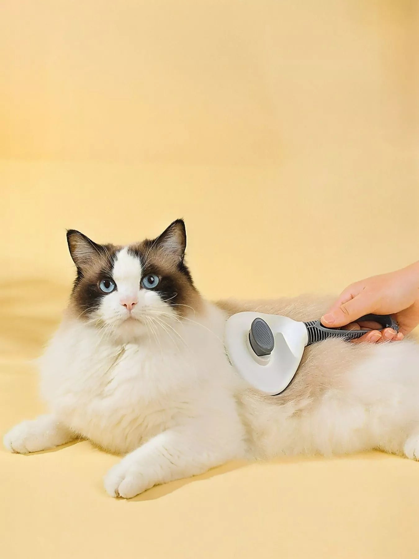 Self-Cleaning Slicker Pet Hair Remover Brush