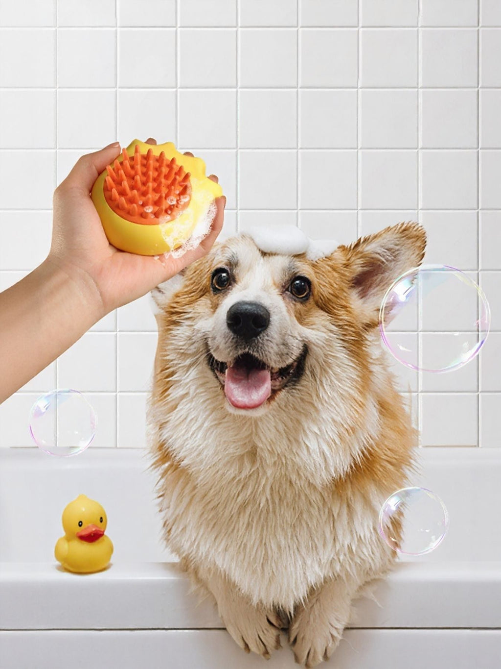 Soft Pet Shower Brush