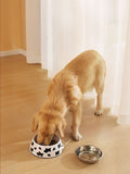 Stainless Steel Pet Bowl