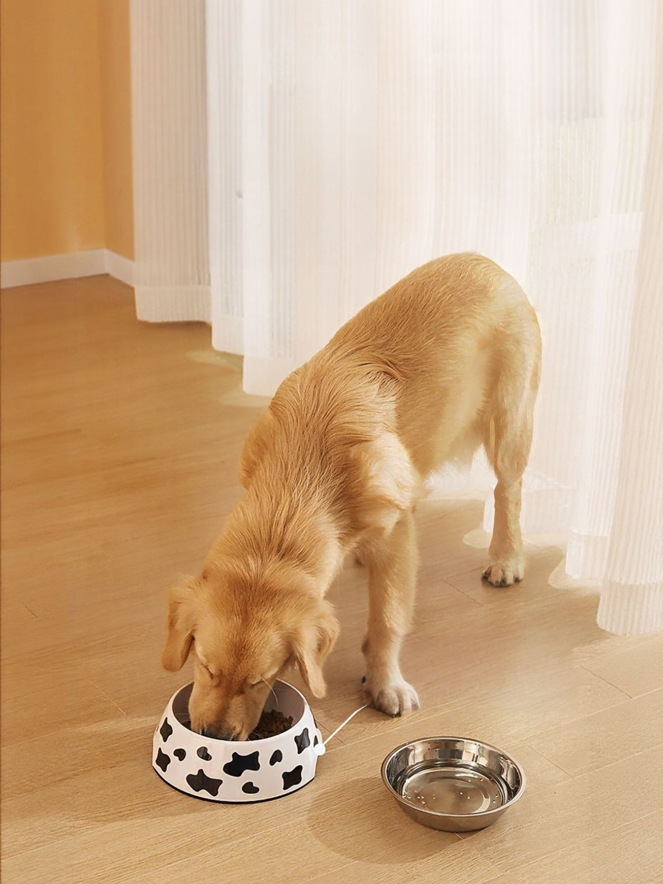 Stainless Steel Pet Bowl