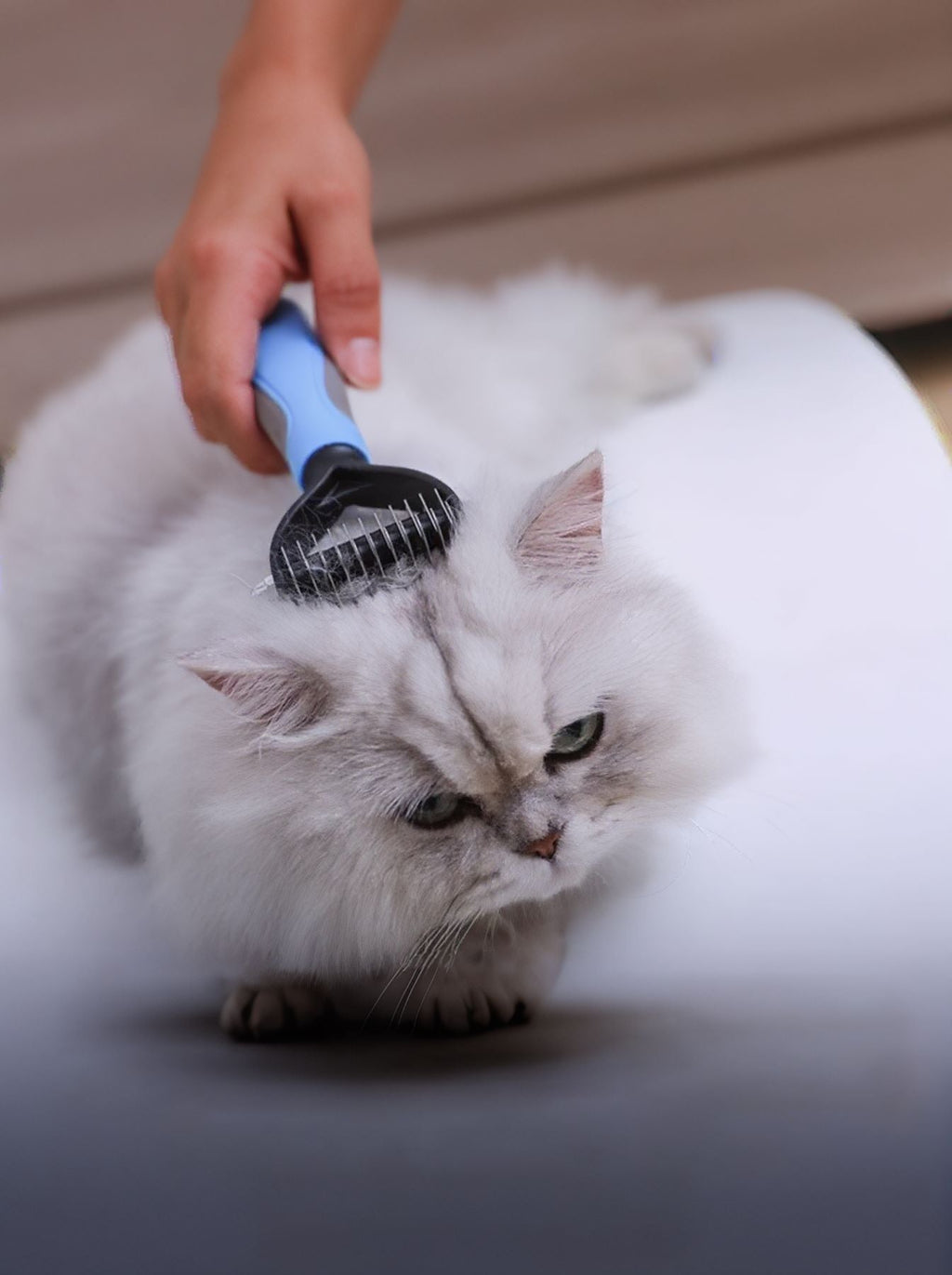 Reduces Shedding Pet Hair Removal Combs