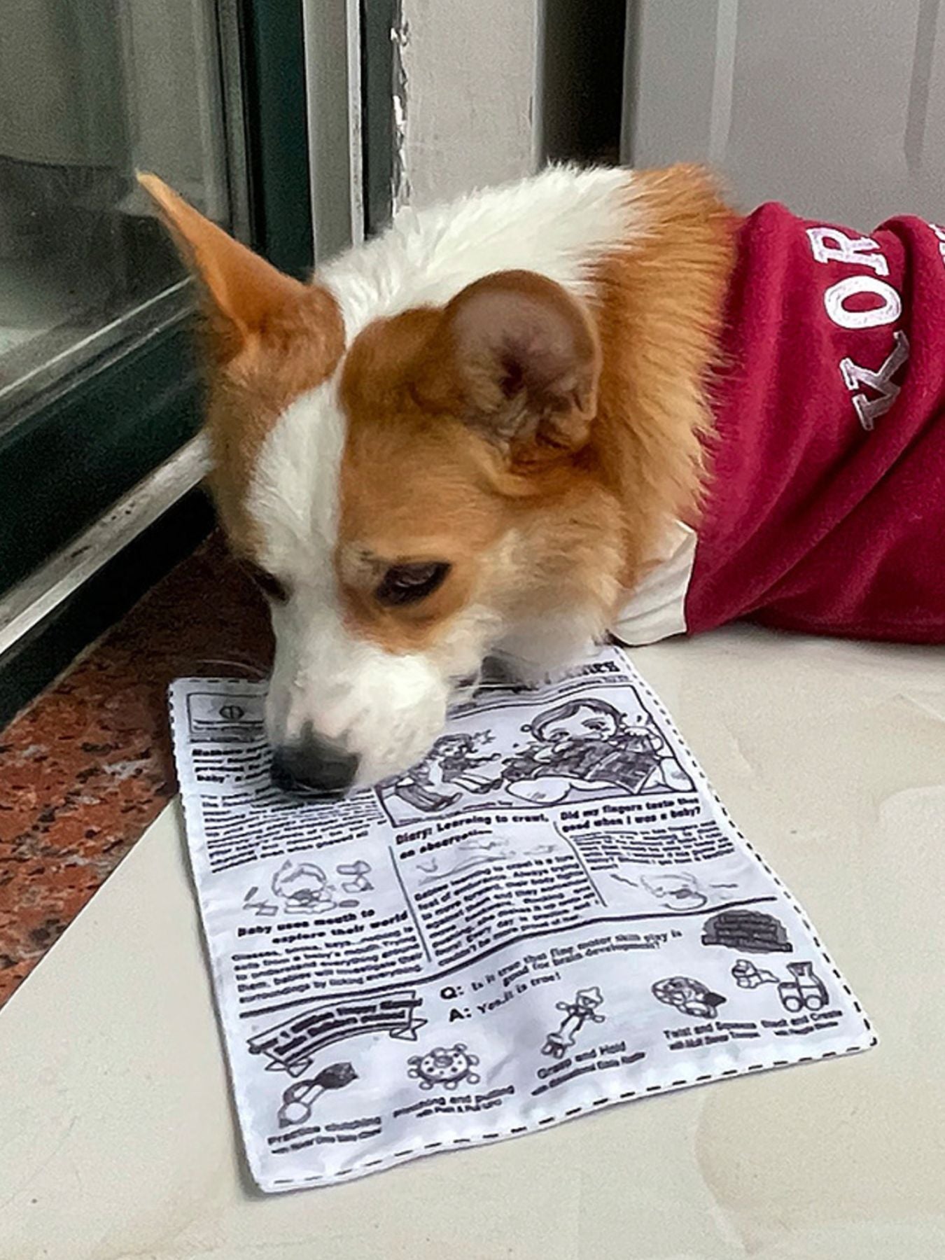 Newspaper Style Pet Sound Toy