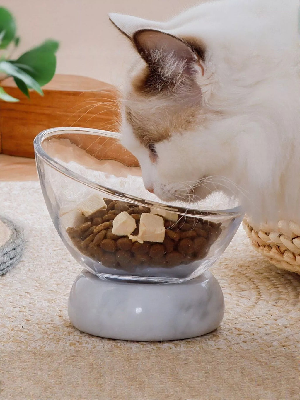 Elevated Tilted Non-Slip Clear Pet Bowl