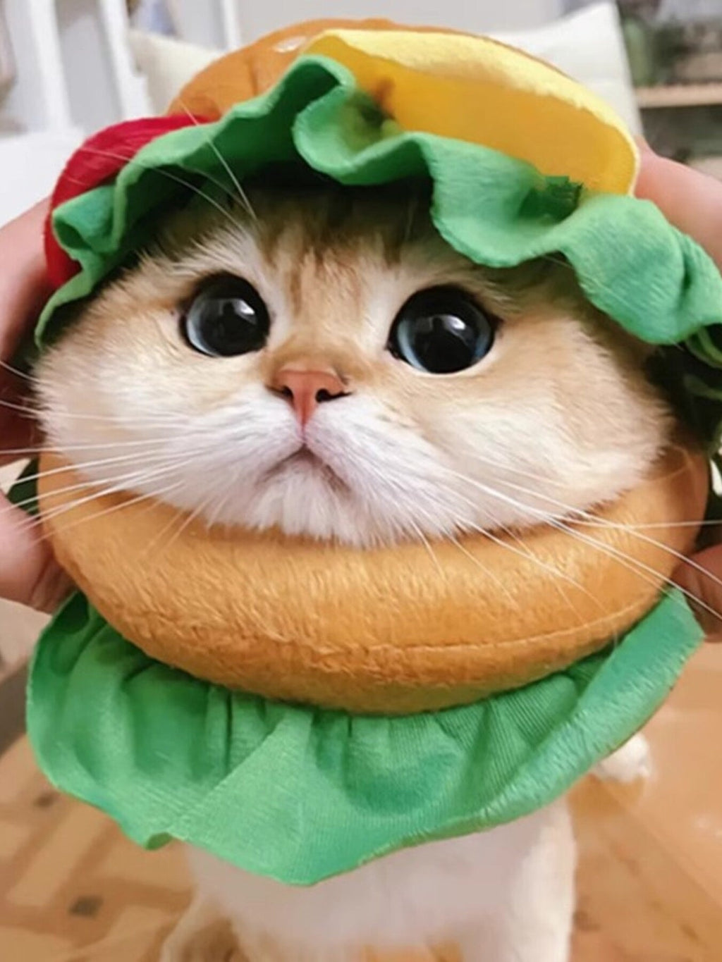 Hamburger Style Pet Headwear
