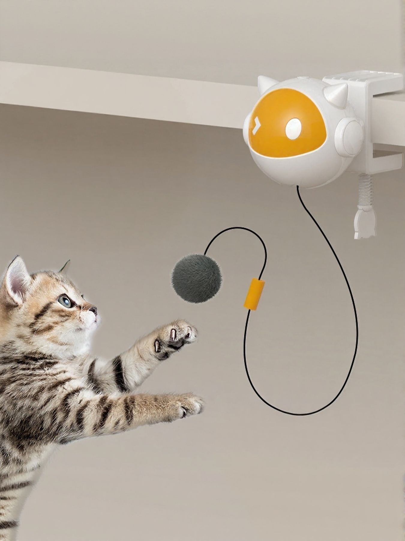Interactive Hanging Cat Teaser Toy with Ball