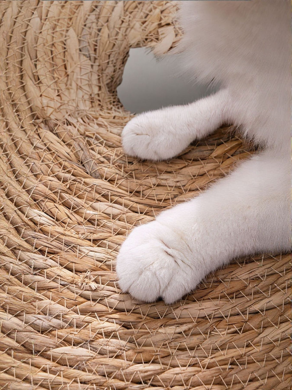 Round Braided Pet Mat