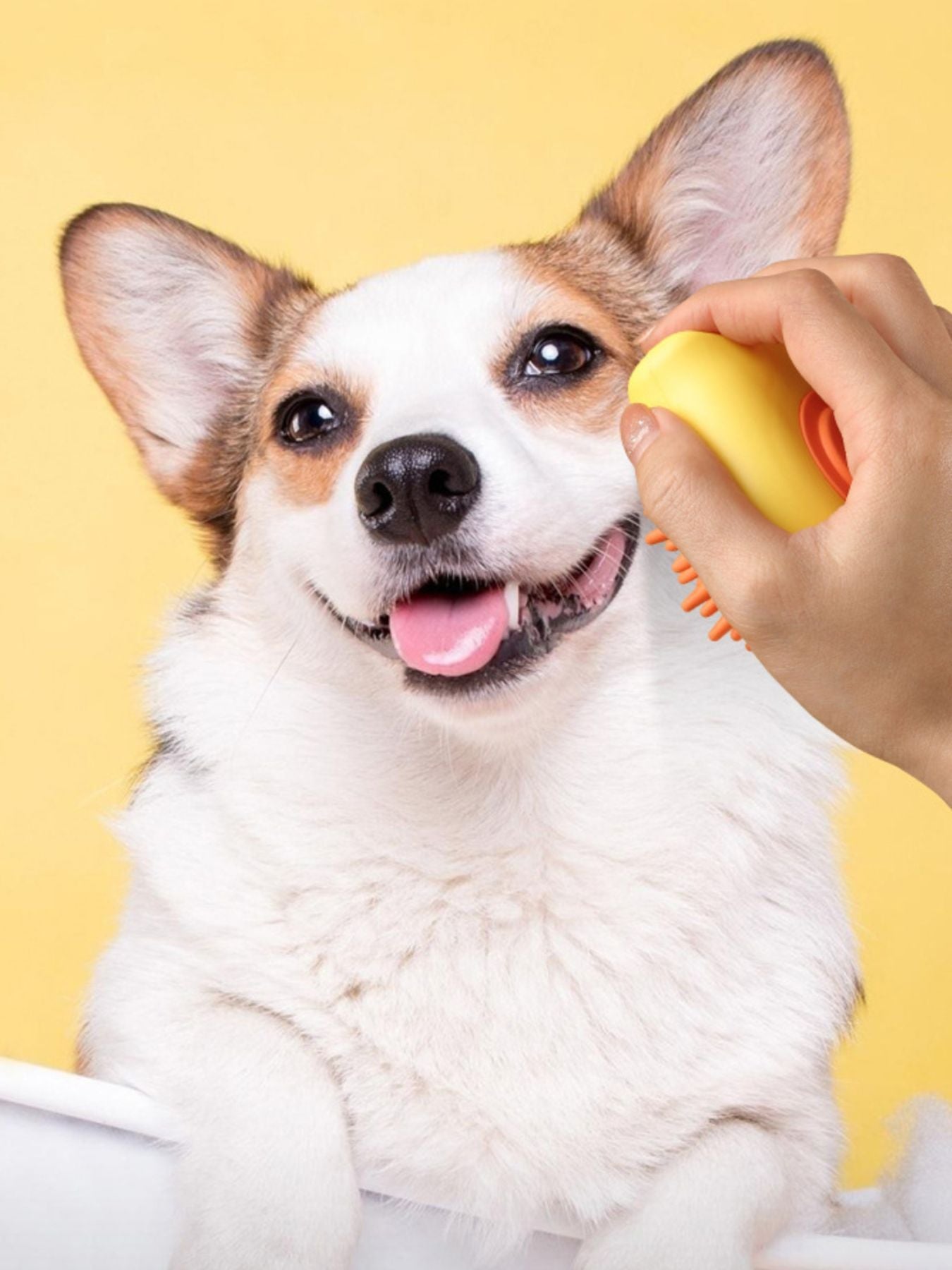 Soft Pet Shower Brush
