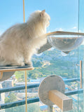 Window Mounted Cat Condos