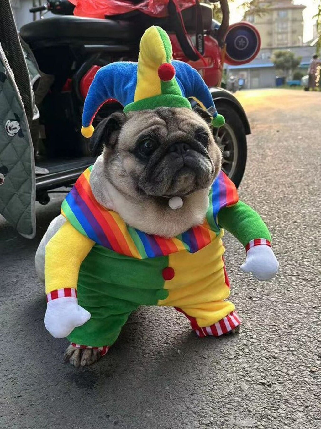 Colorful Clown Pet Jumpsuit with Hat