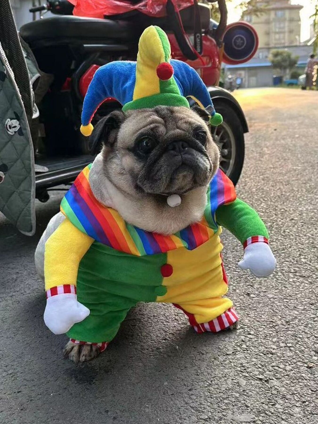 Colorful Clown Pet Jumpsuit with Hat