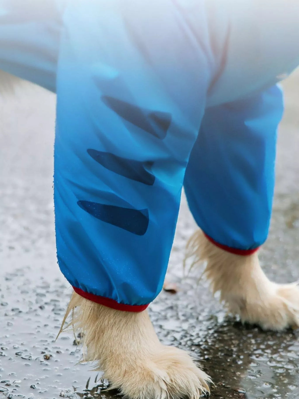 Dinosaur Style Waterproof Dog Raincoat with Hood