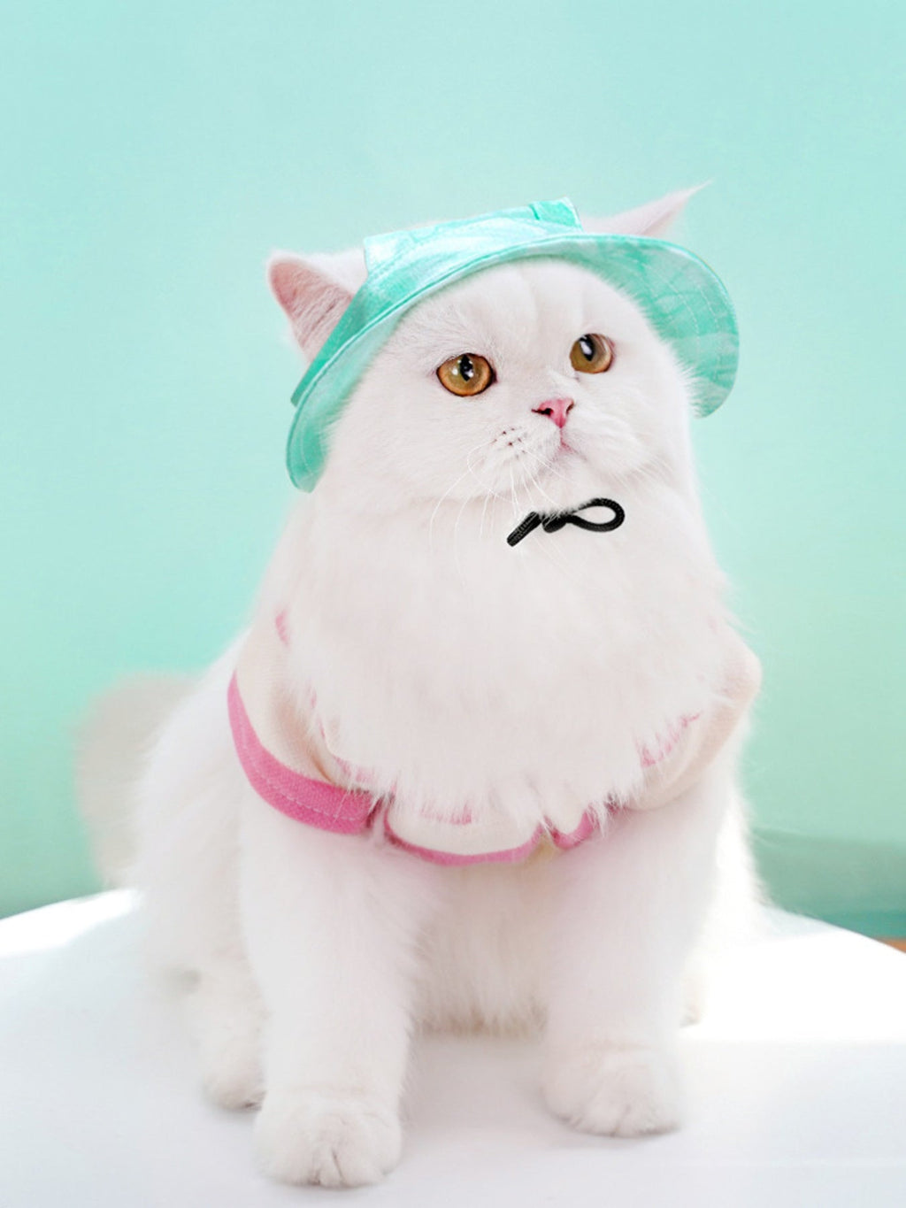 Adjustable Pet Visor Hat