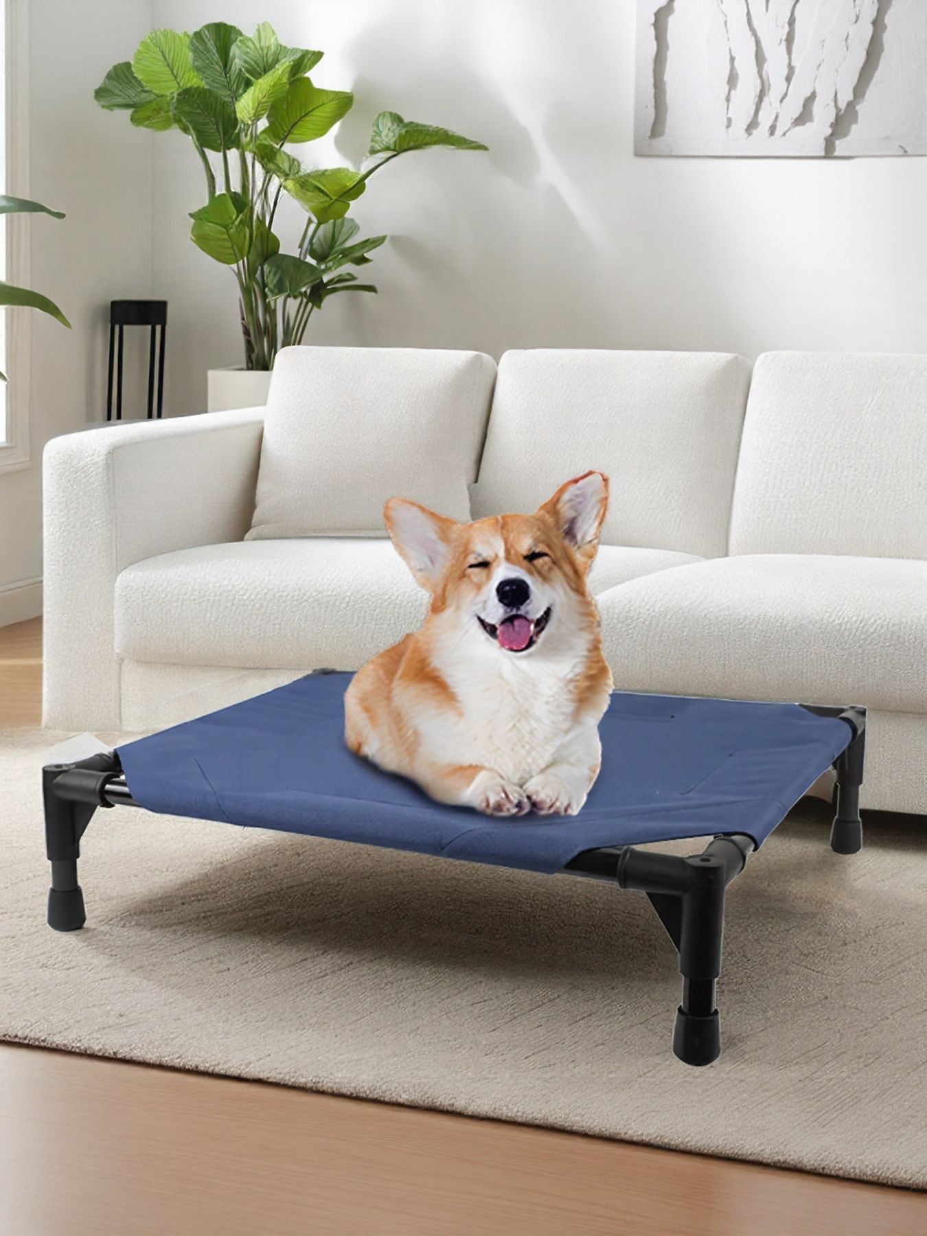 Foldable Elevated Pet Bed