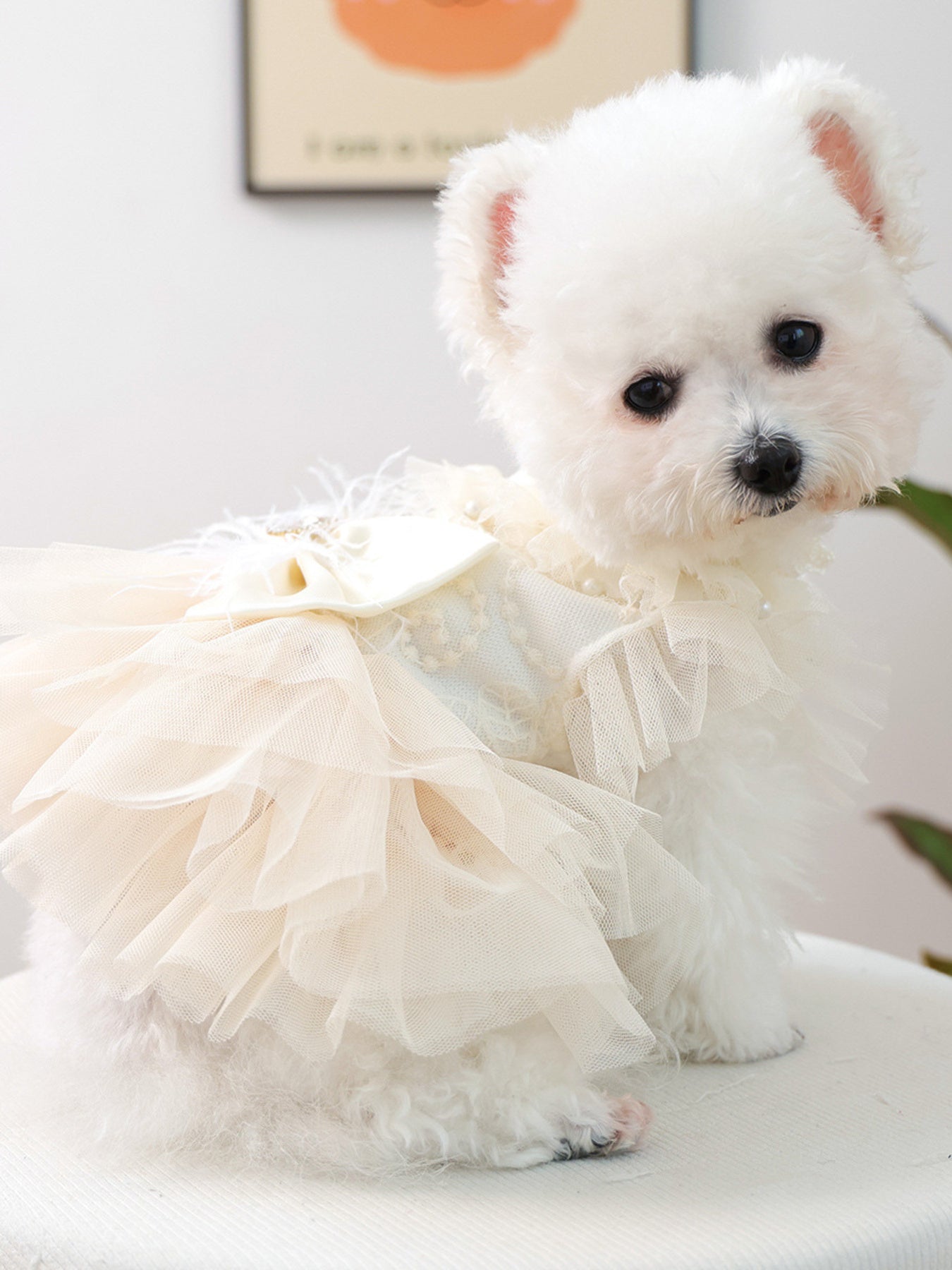 Bow Tulle Ruffle Pet Dress