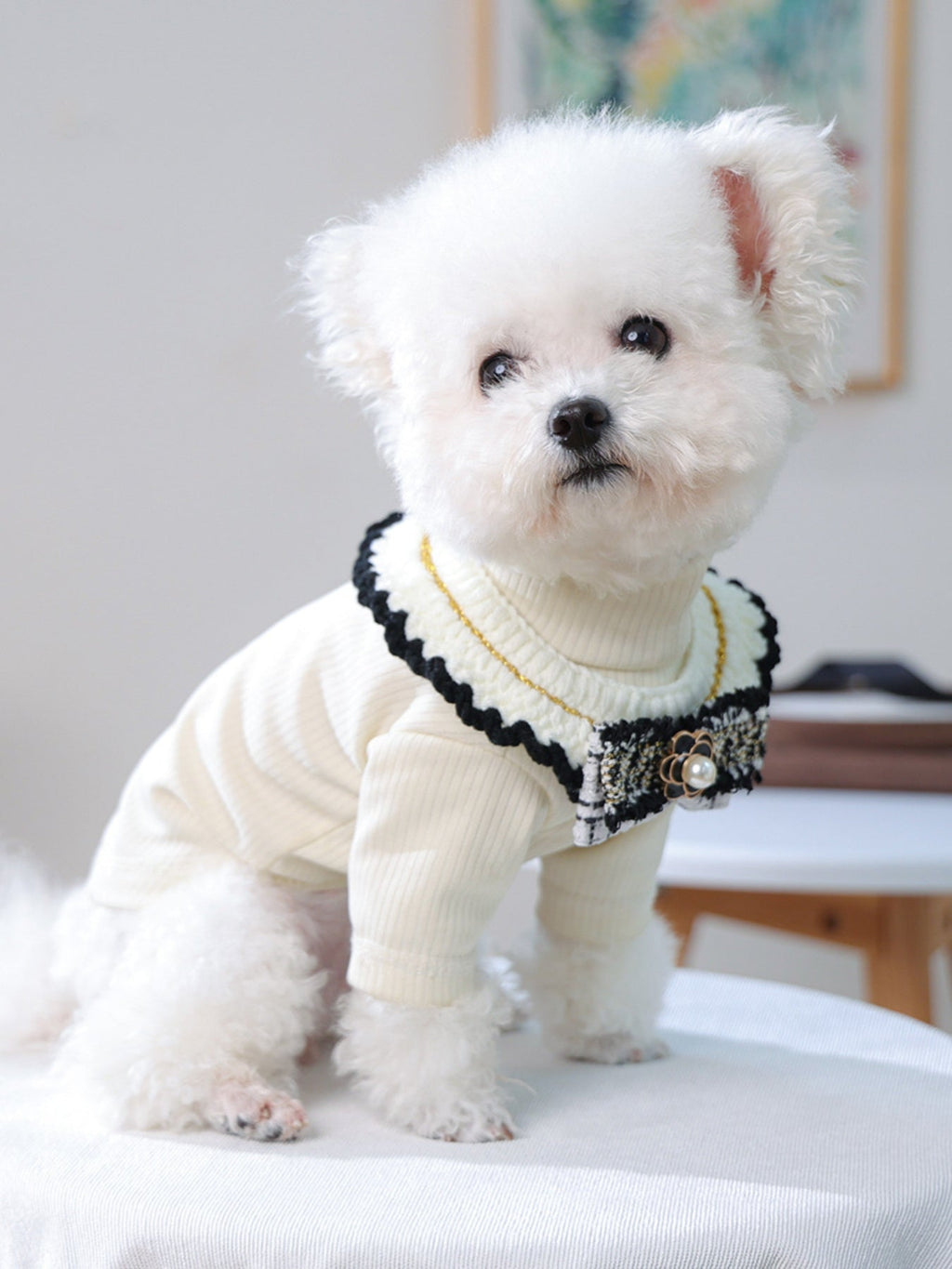 Contrast Pet Scarf