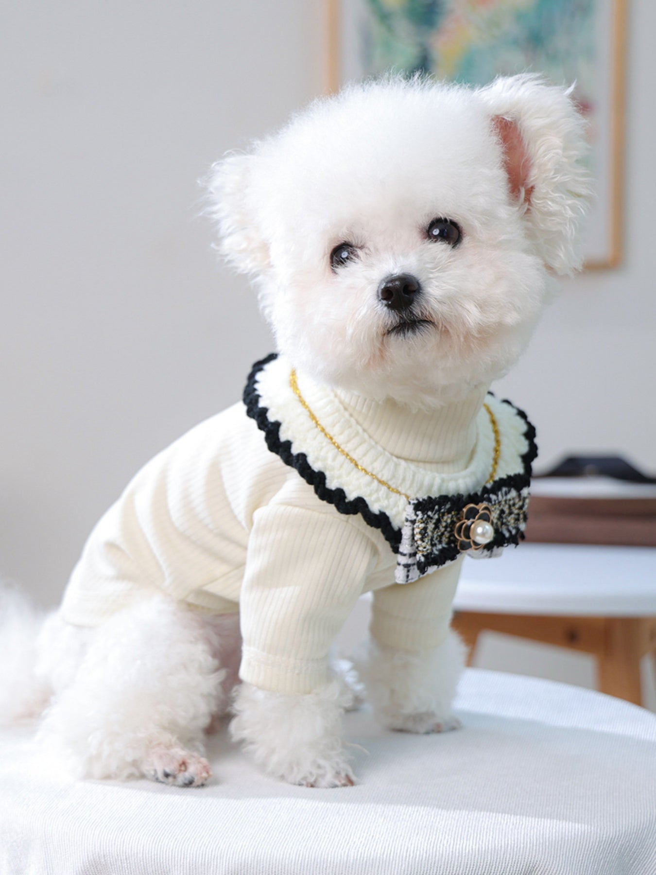 Contrast Pet Scarf