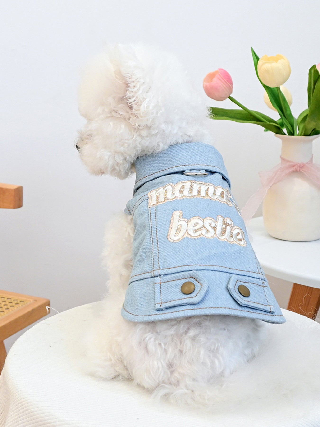 Embroidered Denim Pet Jacket