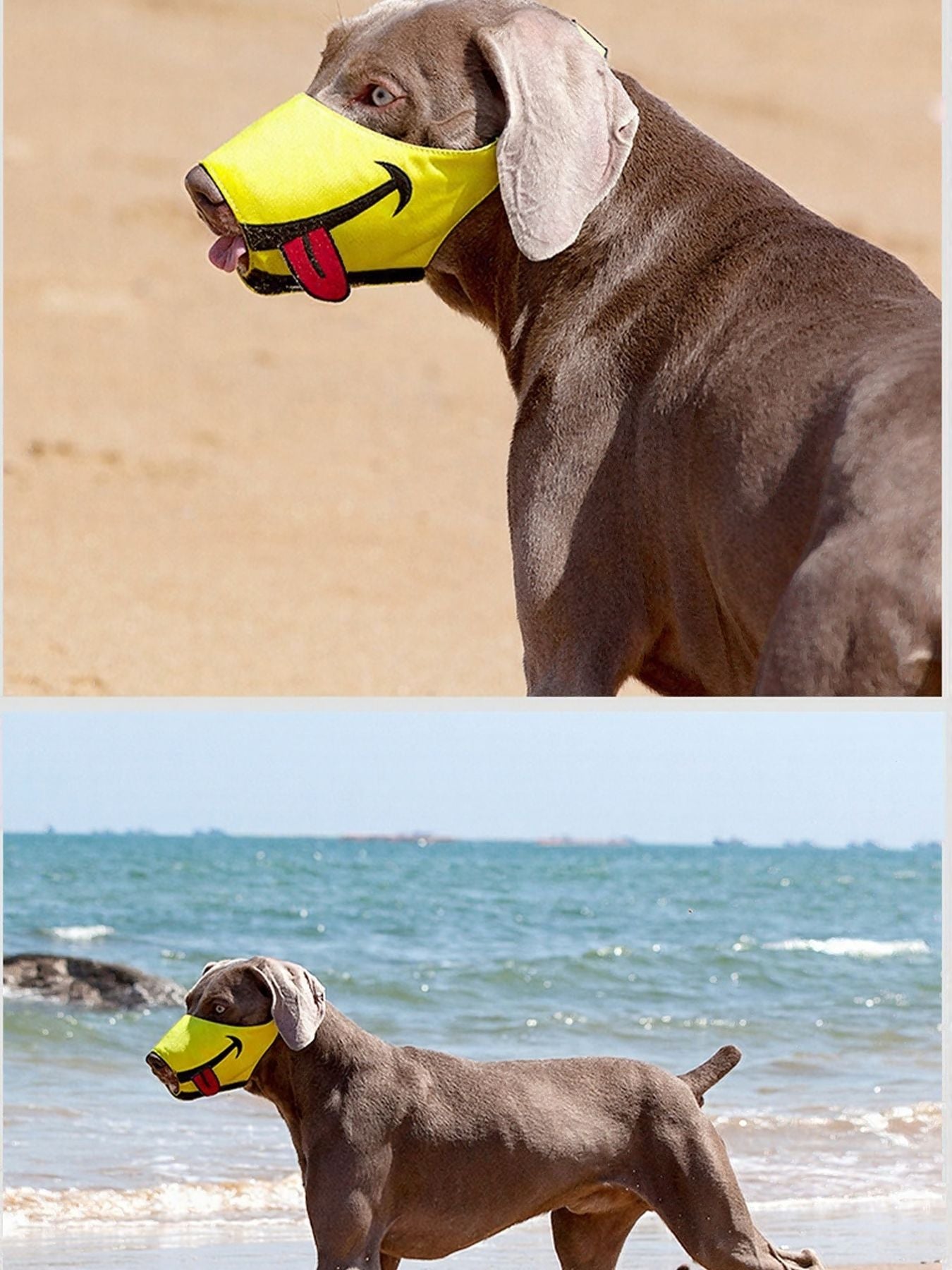 Funny Face Anti-Bite Pet Muzzle