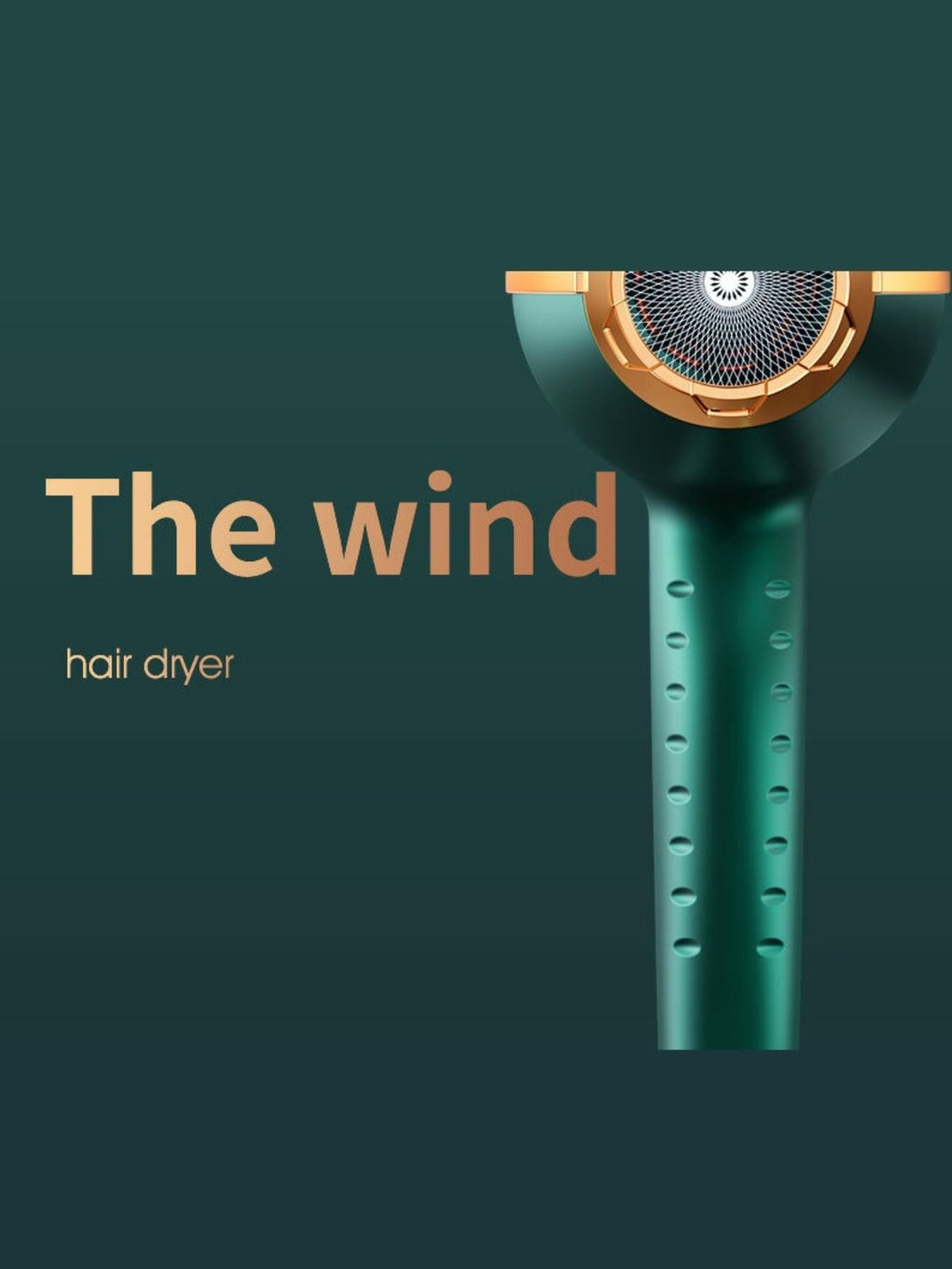 Adjustable Temperature Hair Dryer