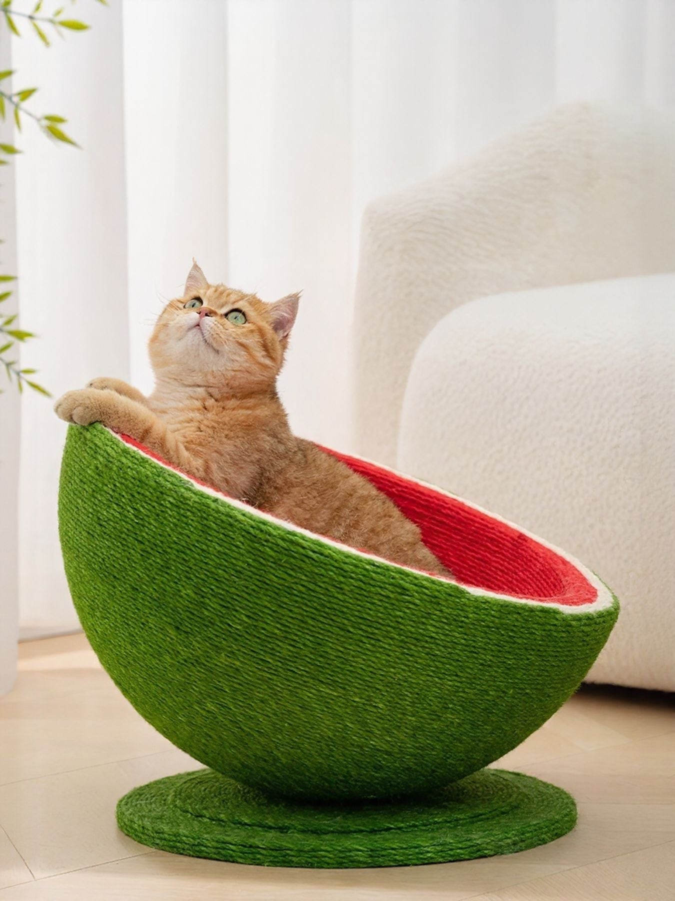Watermelon Shaped Cat Scratching Post Nest