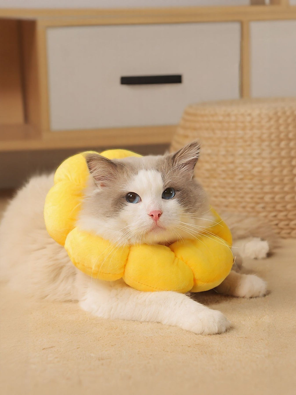 Sunflower Protective Pet Collar