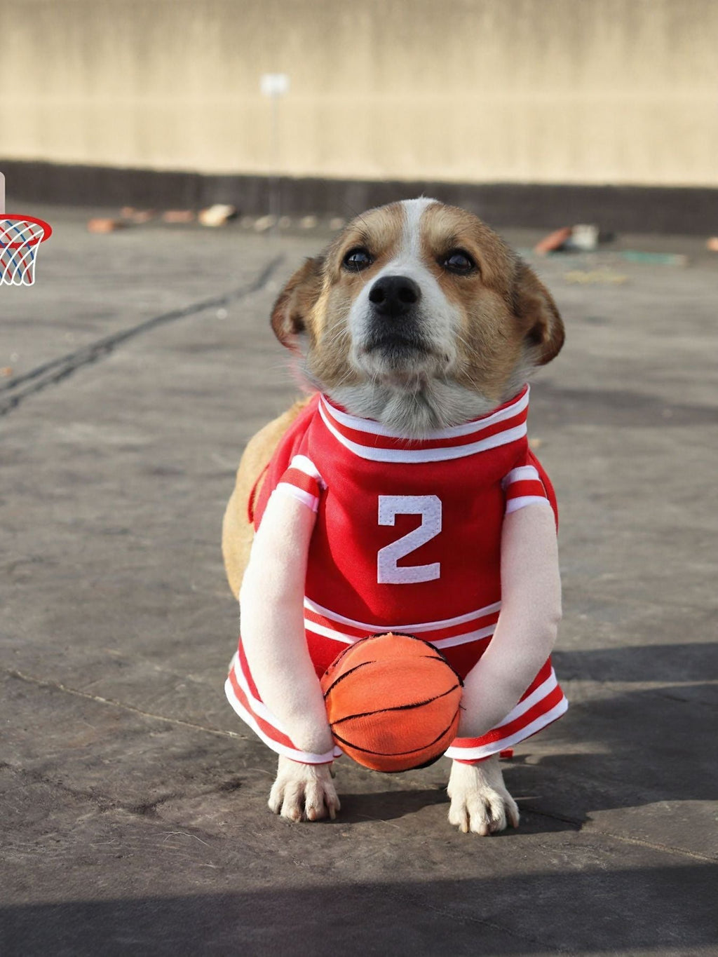 Sporty Basketball Pet Jumpsuit