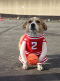 Sporty Basketball Pet Jumpsuit