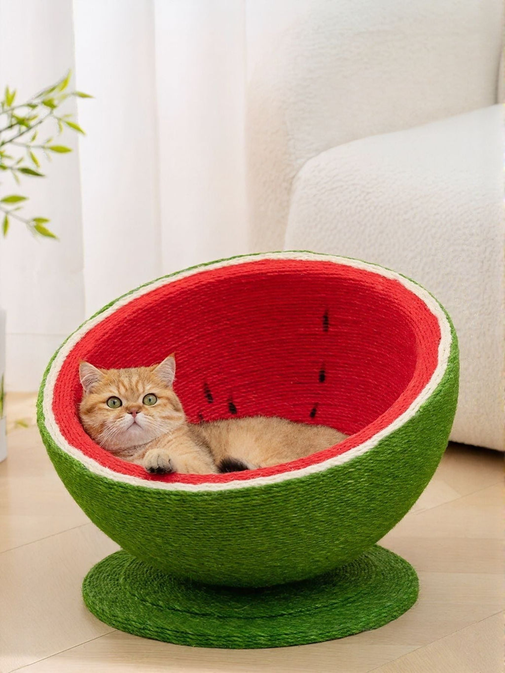 Watermelon Shaped Cat Scratching Post Nest