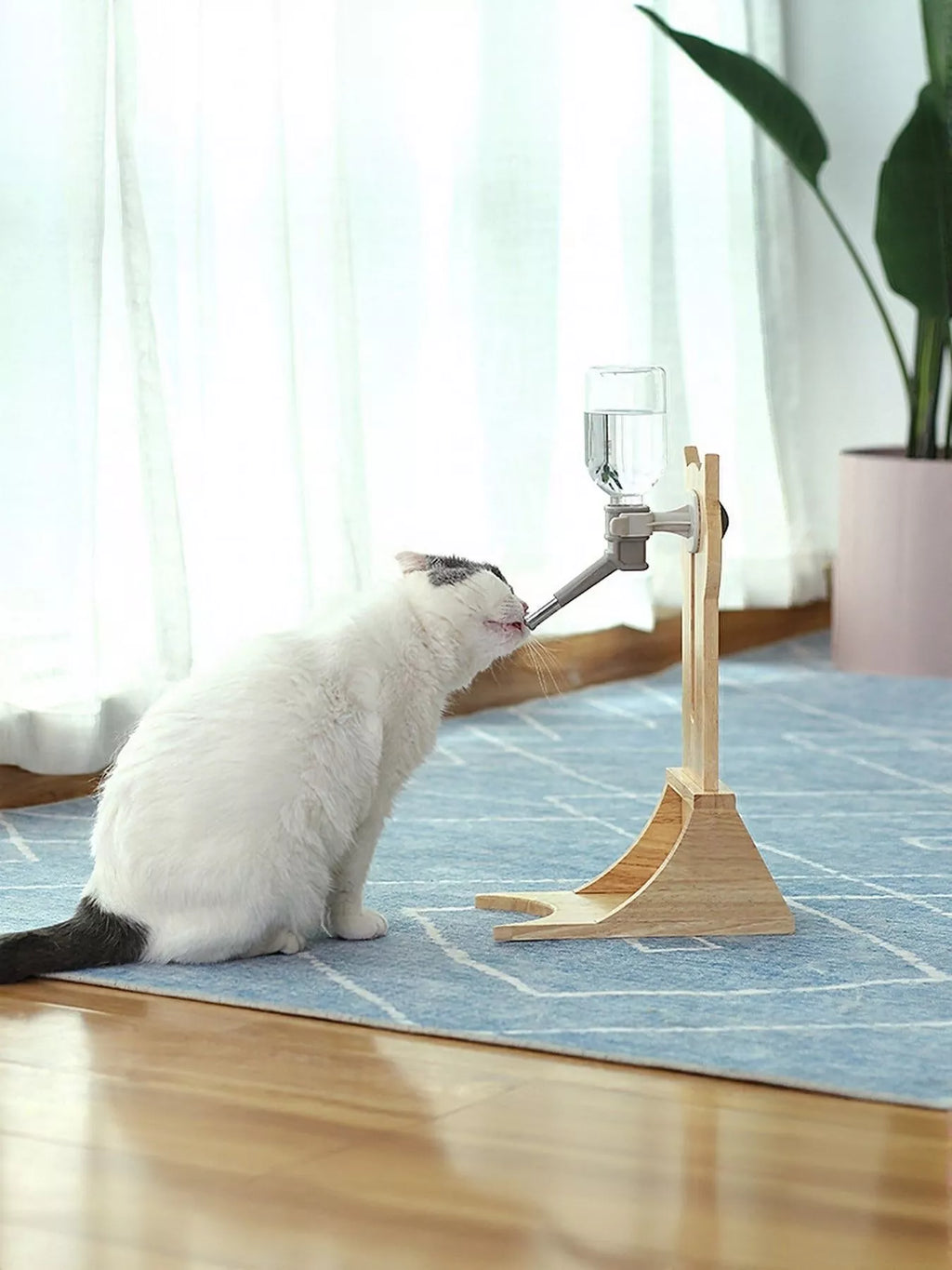 Wooden Pet Water Dispenser