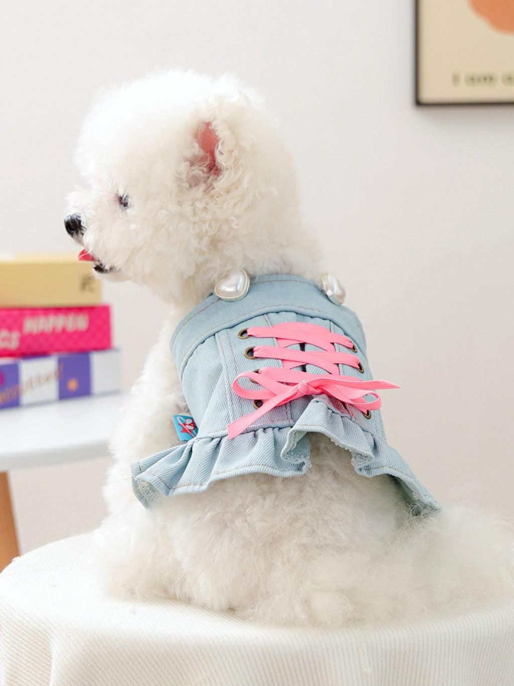 Denim Lace-Up Ruffle Pet Dress