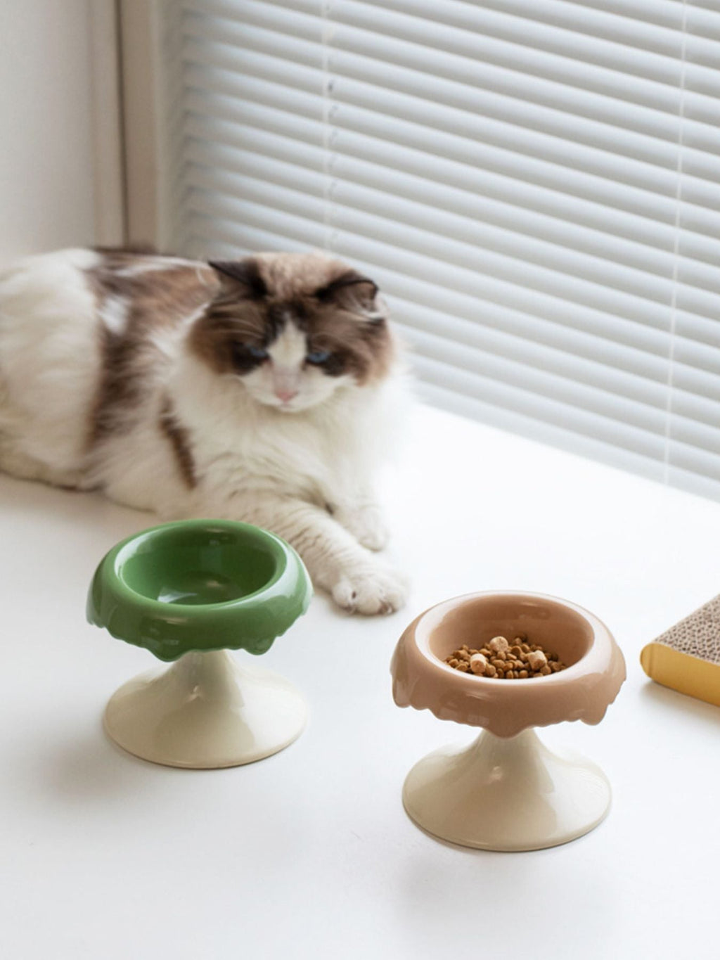 Elevated Ceramic Pet Bowl