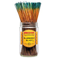 Blueberry Blast Incense Sticks (pack of 10)
