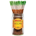 Eucalyptus Incense Sticks (pack of 10)