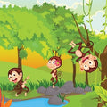 Monkey Farts Fragrance Oil