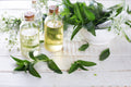 Sore Muscle Therapy Fragrance Oil